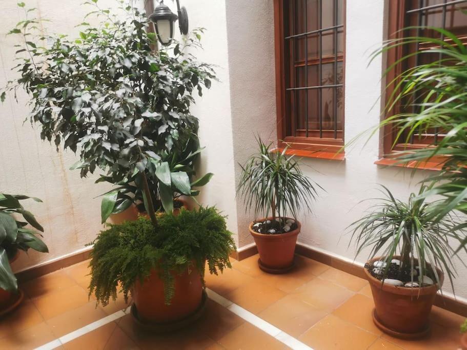 Attico Luxury SuiteMálaga Buitenkant foto